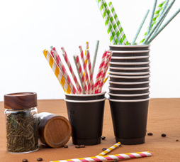 Biodegradable Paper Straws